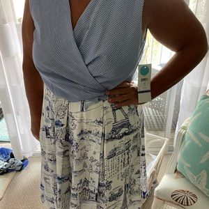 Adorable spring dress NWT size 18 zipper back pint strip with Paris seen skirt